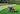 Caterpillar Grass Trimmer, 18V, Black and Yellow - DG270-3